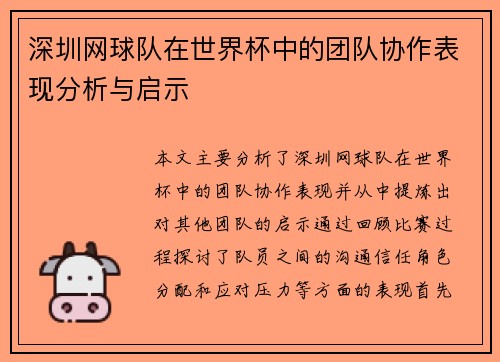 深圳网球队在世界杯中的团队协作表现分析与启示